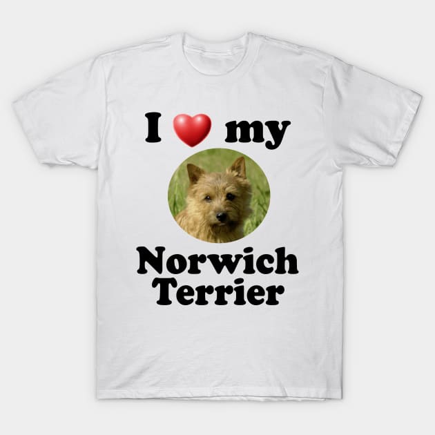 I Love My Norwich Terrier T-Shirt by Naves